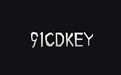 91CDKEY VIP正式上线！