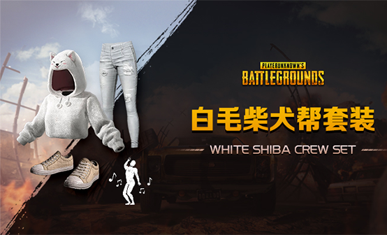 白毛柴犬帮套装 白毛柴犬帮套装