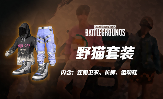 野猫套装