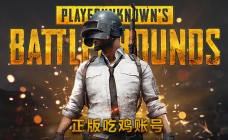 绝地求生豪华版账号