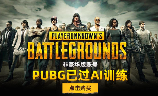 PUBG已过AI训练非豪华版账号