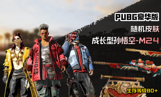 孙悟空M24随机皮肤80级账号