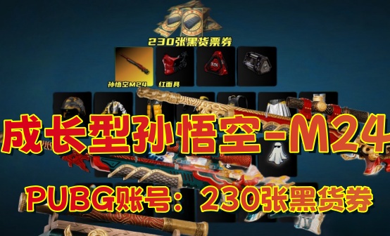 孙悟空M24+230黑货票券红面7周年非豪华版账号