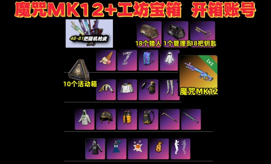 成长型武器魔咒MK12+18套工坊宝箱物资账号