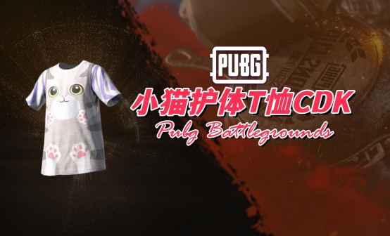 PUBG 小猫护体T恤CDK