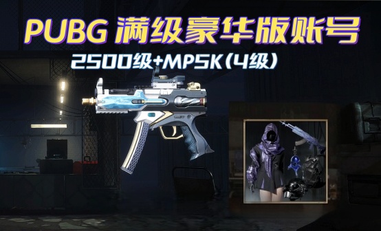 2500级+4级成长MP5K豪华排位账号