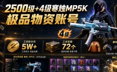 2500级+4级成长MP5K随机皮肤账号