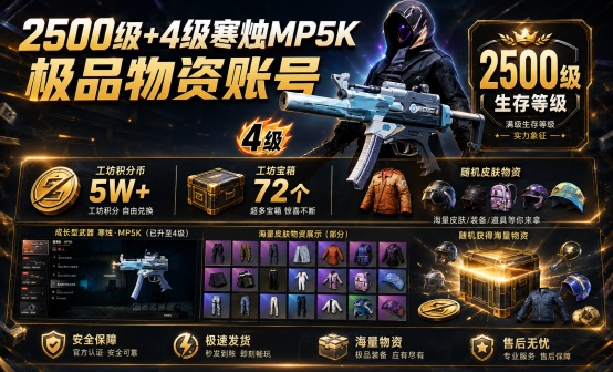 2500级+4级成长MP5K随机皮肤账号