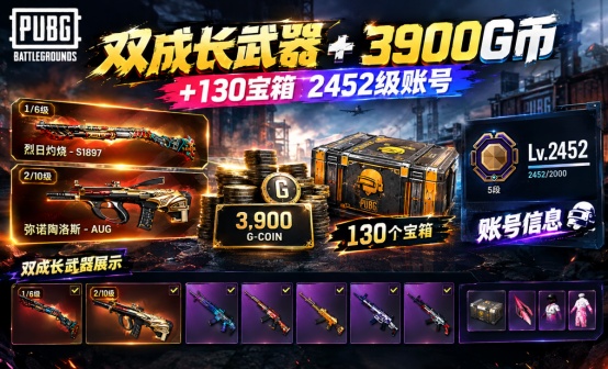 3900G+双成长武器+130工坊宝箱2452级物资账号